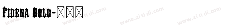 Fidena Bold字体转换 Fidena Bold字体转换
